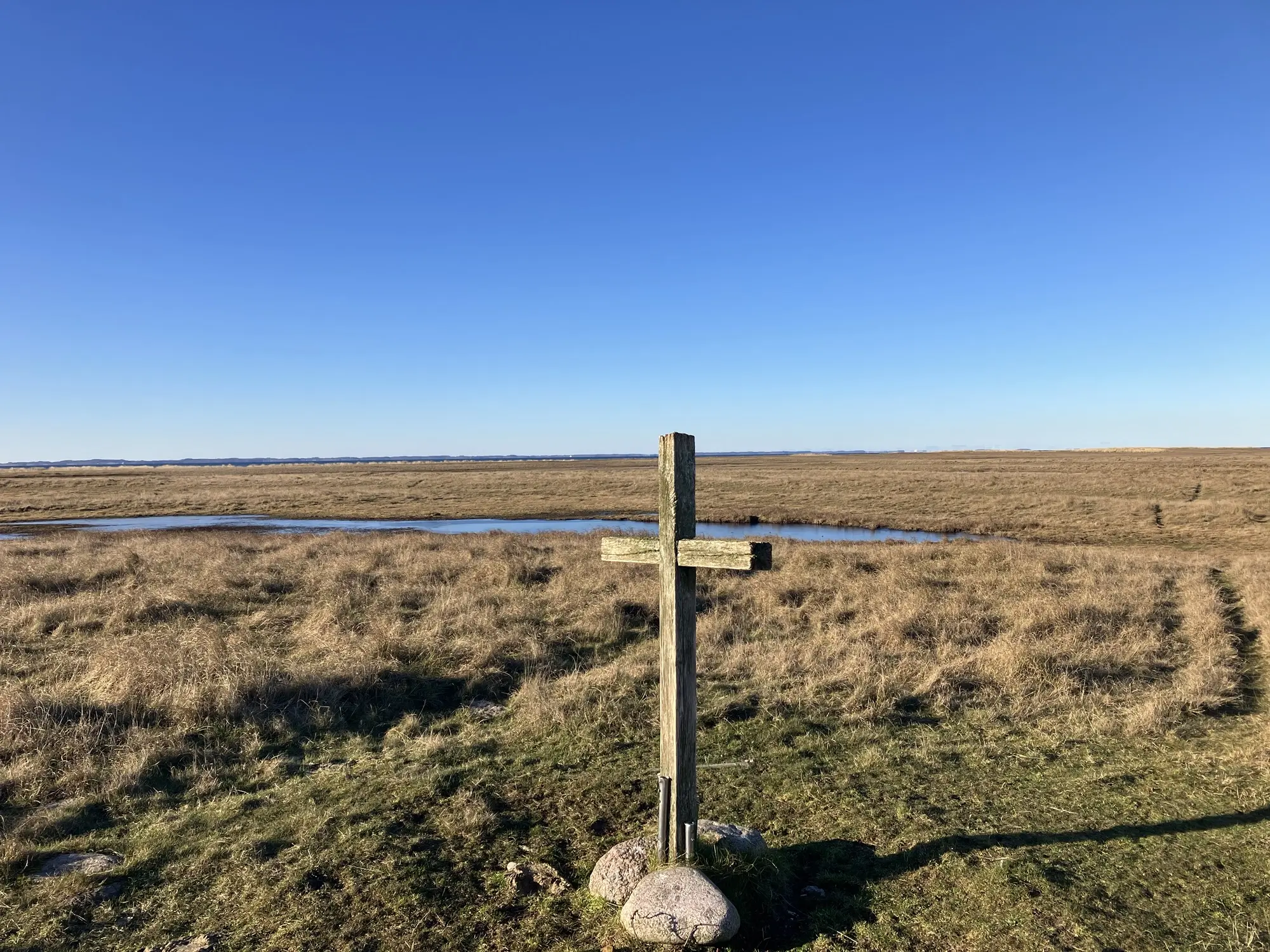 Klimaforandringer truer fortidsminder: Albuens middelaldermarked i fare På den forblæste tange på Albuen står et simpelt trækors dér, hvor der i middelalderen lå en gravplads og et kapel. Der blev også opført en lille bebyggelse i forbindelse med sildemarkedet.