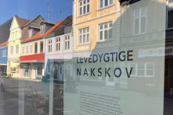 Nakskov stikker af: Kommunen vil prioritere Maribos bymidte Det går så godt med byfornyelse og facaderenoveringer i Nakskovs bymidte, at Maribo sakker agterud. Så nu vil kommunen prioritere sit administrative centrum i stedet for den største by.
